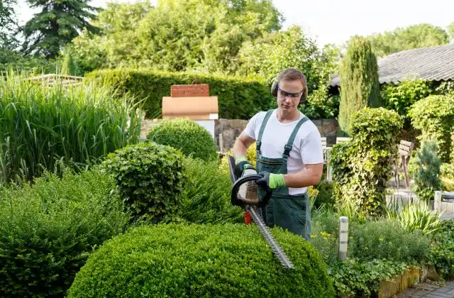 landscaping services Clyde